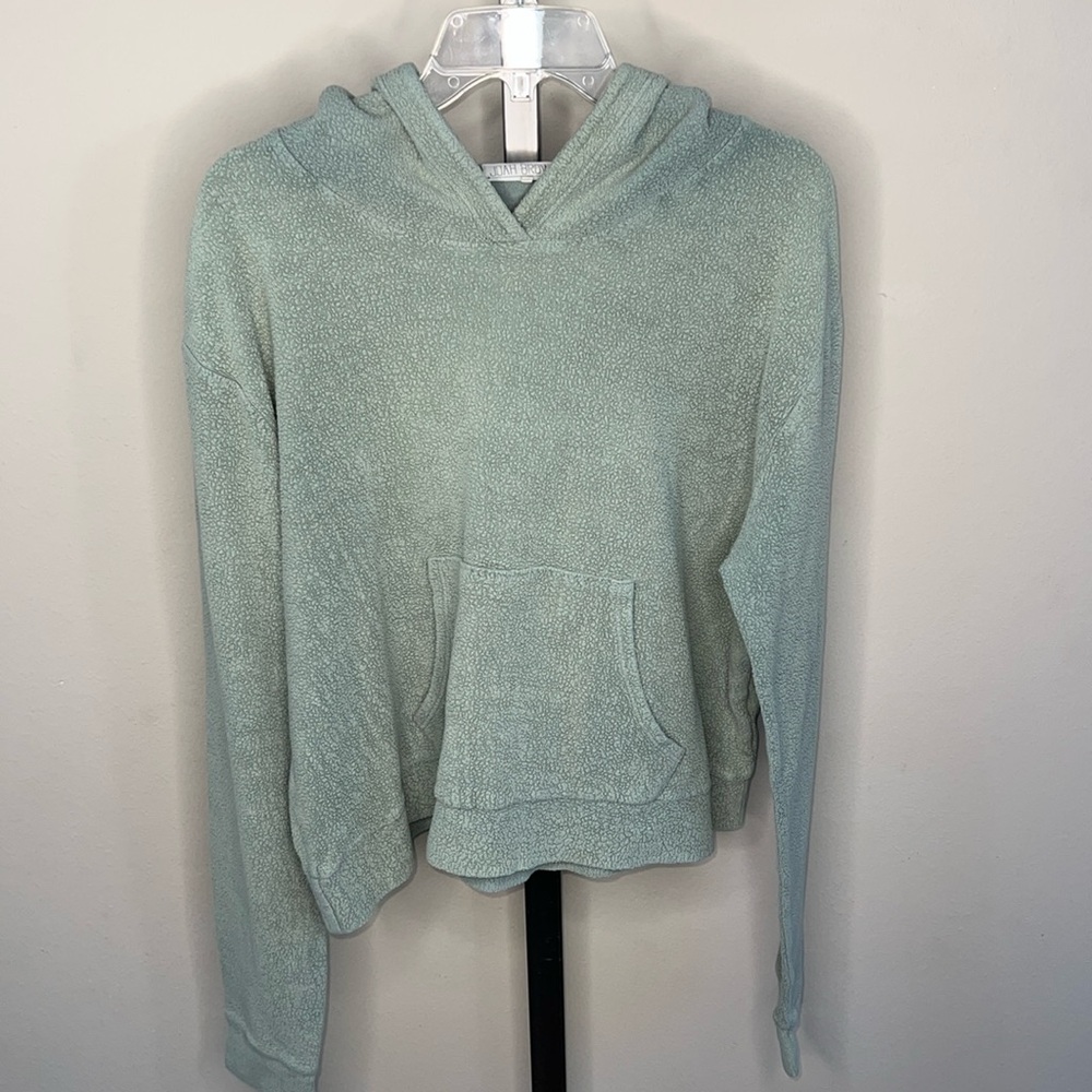EUC Joah Brown Hometown Hoodie M/L Sage